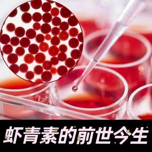 98 虾青素的前世今生