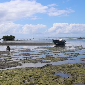 国庆想想去海边？—关于滨海旅游、海洋领域创业以及人与自然共生关系