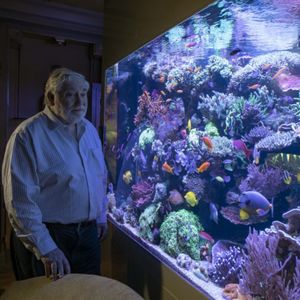 从小鱼缸到礁岩水族箱