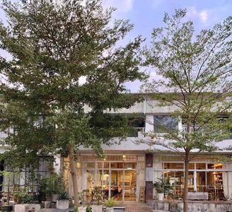 海洋图书馆×High Wave EP01:深圳海洋史趣谈