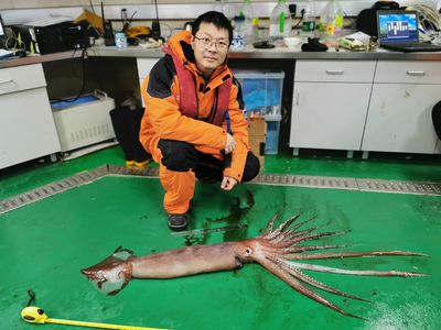 极地科考梦与海洋求知路