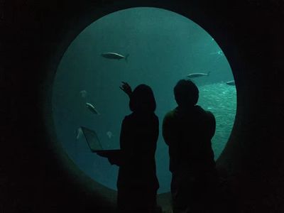 宝藏女孩带你打开新世界的大门