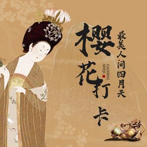 最美人间四月天，快来樱花胜地打卡吧！