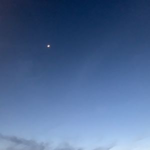 一出学社·教师说｜胡胡：工作中抵达关于自由的微妙平衡