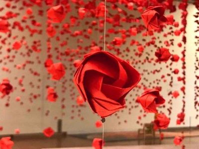 Little Prince C20 - 导读版