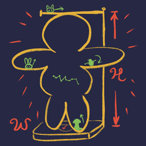 第37期 从体重管理年开始长健康有用的肉