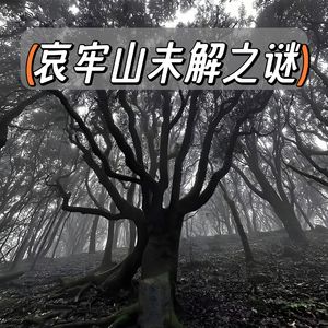 生人勿近!邪典哀牢山,《走近科学》不敢明说的恐怖真像?