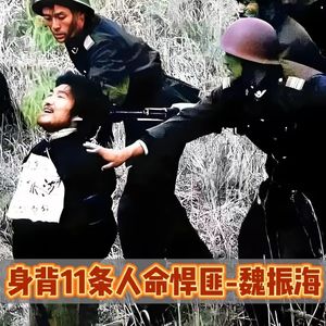 十大悍匪西安狂徒魏振海，判死刑后越狱，千人围捕下仍敢行凶作案！