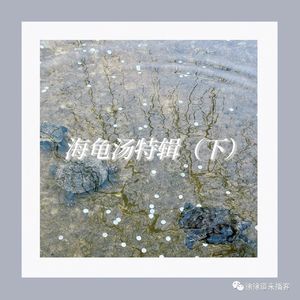 Ep 8. 海龟汤特辑（下）