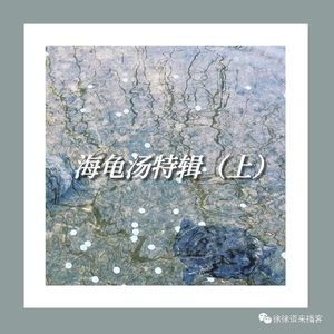 Ep 7. 海龟汤特辑（上）