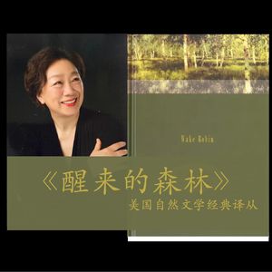 众鸟归来 07 | 黄昏雀的夜曲