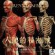 人体的秘密二 Vol.384 XXFM