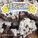 《狂吃云南》Vol.260 XXFM