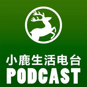 那个从护士变成巨星的孩子mp3