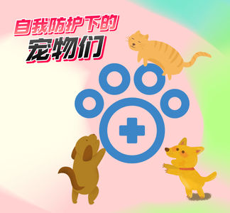 猫狗看护主人好暖心，小狗误食布洛芬致死亡，疫情下的 “毛孩子们”还好么？