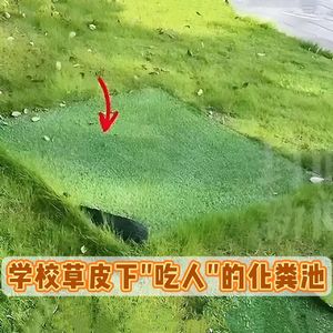 重庆一大学生掉进化粪池遇难，谁该为美化的“陷阱”负责？