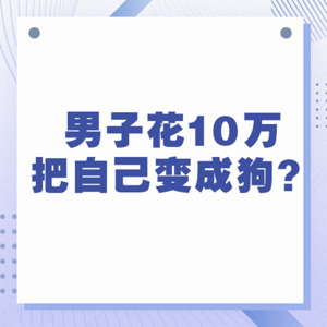 日本男子花10万把自己变成狗，网友:我想变只猫
