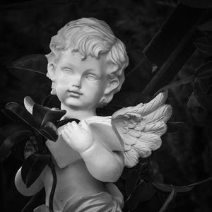 我的家庭，身体力行地教会了我“读书无用”