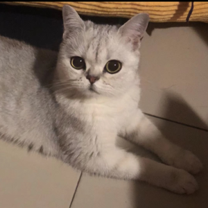 EP20 我们的宝贝