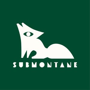 Vol.41 入门级徒步需要哪些装备？