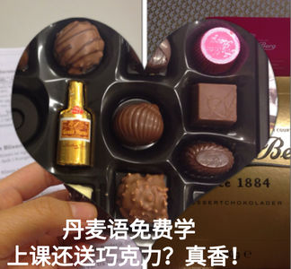 53 回到丹麦-免费语言学校真香