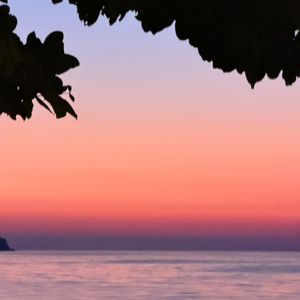 12. 学会情绪熵减,心灵断舍离:) 才好迎接轻盈新年