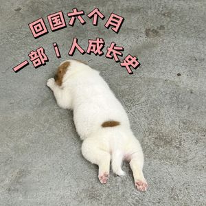 18｜回国六个月，太考验我这个大写的I人了吧！