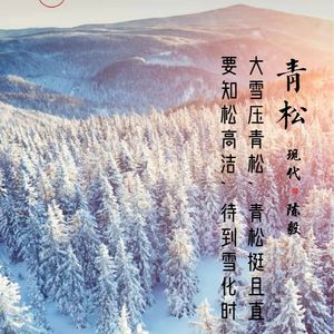 134.青松 陈毅