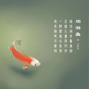 283.观游鱼 白居易