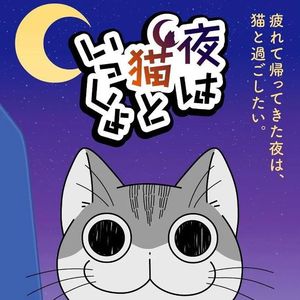 Vol.05 关于养猫我一直是新手:放下“人类凝视”后,我们开始真正爱猫猫