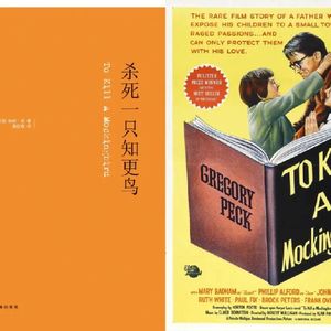 《杀死一只知更鸟》——如何成为一个善良、勇敢、正义的人