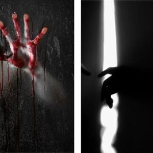 因起美好，果结悲凄，蔡天凤案带给我们的一些思考