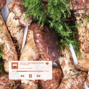 ChIBao Vol.006｜对话女性面包师05——云南人说，用野生菌做面包有多棒！