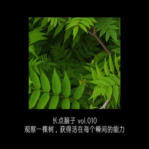 观察一棵树,获得活在每个瞬间的能力