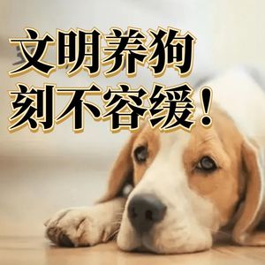 2岁女童被大型犬撕咬,妈妈绝望中护孩子,呼吁文明养狗刻不容缓!