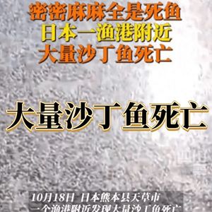 大量沙丁鱼死亡，日本渔民惊呼：近30年来首次见到此景！