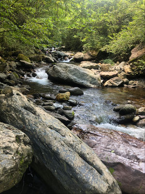 【此时此刻】我们可以不那么勇敢