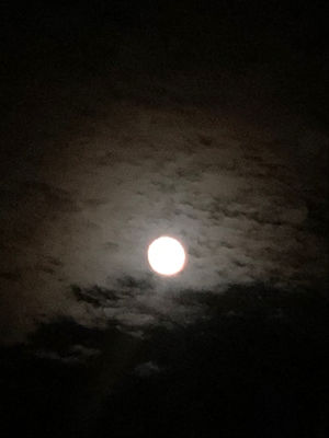 【此时此刻】中秋节，千万不要忘记一个人