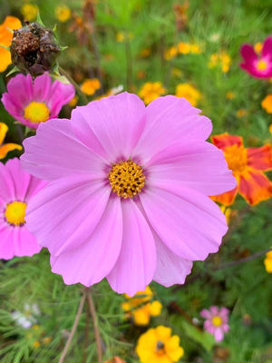 【此时此刻】爱ta请告诉ta，元宵节快乐！