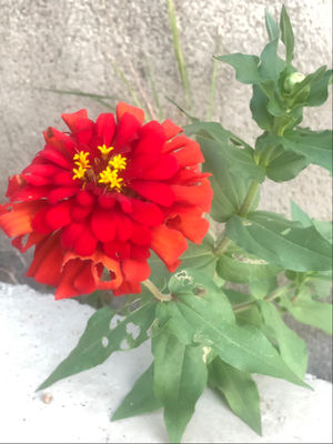 【此时此刻】当焦虑入侵大脑，我们可以这样阻断它