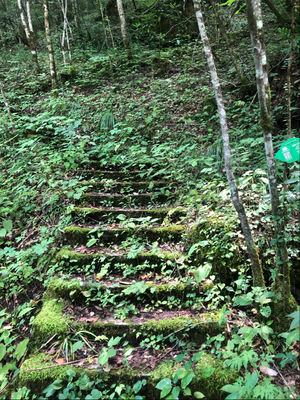 【此时此刻】若关闭朋友圈，会发生什么？