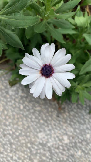 【此时此刻】就事论事，还是表达情绪？