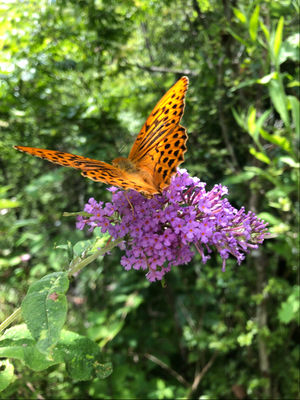 【此时此刻】创造自我的避难所