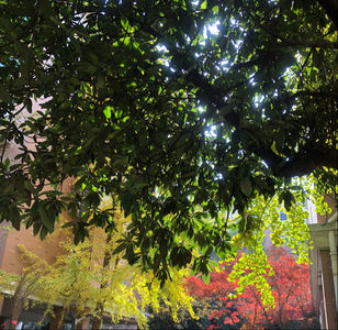 【此时此刻】元旦快乐！聊聊主业与副业