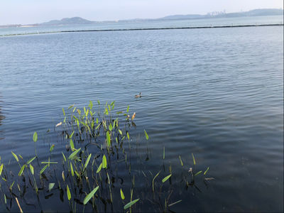 【此时此刻】爱自己的两件小事，很多事情没有想象中那么可怕