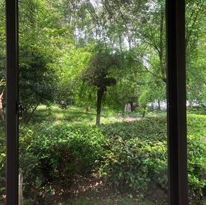 【此时此刻】突然变得冷漠，可能只是想休息一下