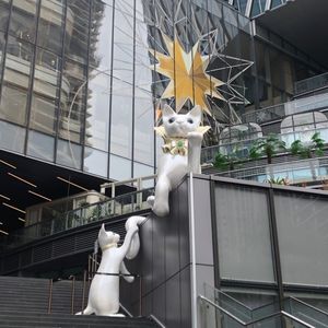 【此时此刻】坚定自我，是件孤独的事情