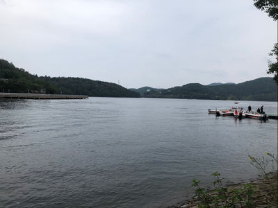 【此时此刻】免费带来的麻烦