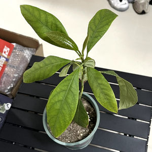 妇联茶话会｜成年人必备的技能是学会找乐子，聊聊我们的充能时刻