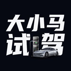 V20.极氪7X能否击败Model Y？和极氪车主聊聊【大小马试驾】